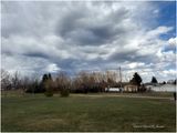 IMG_8161-Airdrie.jpg