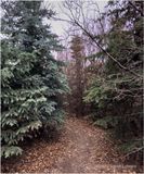 IMG_8178-Airdrie.jpg