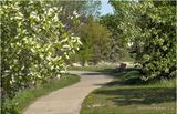 IMG_0051-Airdrie.jpg