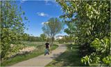 IMG_0058-Airdrie.jpg