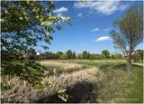 IMG_0062-Airdrie.jpg