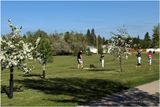 IMG_0178-Airdrie.jpg