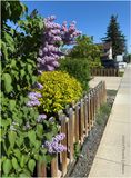 IMG_0182-Aurdrie.jpg