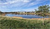 IMG_8590-Airdrie.jpg