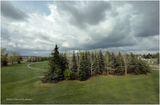 IMG_8669-Airdrie.jpg
