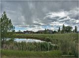 IMG_0289-Airdrie.jpg