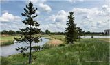 IMG_0328-Airdrie.jpg