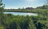 IMG_0416-Airdrie.jpg