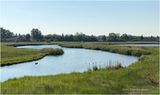 IMG_0483-Airdrie.jpg