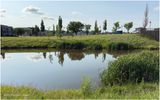 IMG_0739-Airdrie.jpg