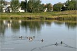 IMG_0750-Airdrie.jpg