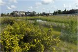 IMG_0779-Airdrie.jpg