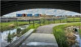 IMG_0801-Airdrie.jpg