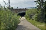IMG_1059-Airdrie.jpg