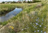 IMG_1071-Airdrie.jpg