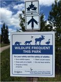 IMG_1507pAirdrie.jpg