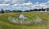 IMG_1524-Ardrie.jpg