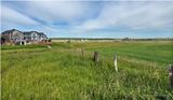 IMG_1585-Airdrie.jpg