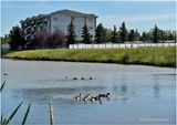 IMG_1624-Airdrie.jpg