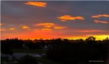 IMG_1639-Airdrie.jpg