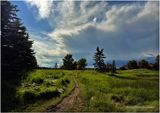IMG_1651-Airdrie.jpg