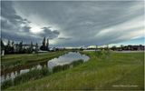 IMG_1671-Airdrie.jpg