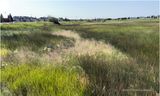 IMG_1727-Airdrie.jpg
