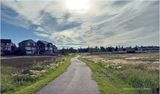 IMG_1863-Airdrie.jpg