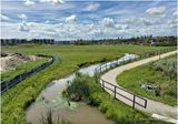 IMG_1916-Airdrie.jpg