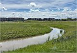IMG_1919-Airdrie.jpg