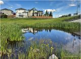 IMG_1946-Airdrie.jpg