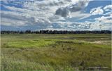 IMG_1956-Airdrie.jpg