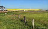 IMG_2121-Airdrie.jpg