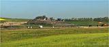 IMG_2128-Airdrie.jpg