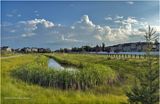 IMG_2164-Airdrie.jpg