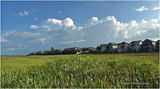 IMG_2174-Airdrie.jpg