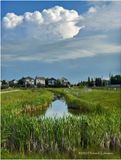 IMG_2185-Airdrie.jpg