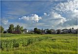 IMG_2188-Airdrie.jpg