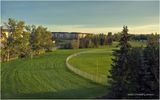 IMG_2263-Airdrie.jpg