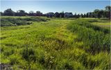 IMG_2439-Airdrie.jpg