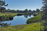 IMG_2509-Airdrie.jpg