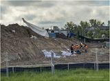 IMG_2511-Airdrie.jpg