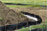 IMG_2542-Airdrie.jpg