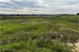 IMG_2580-Airdrie.jpg