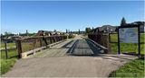 IMG_2665-Airdrie.jpg