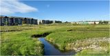 IMG_2743-Airdrie.jpg