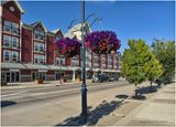 IMG_2840-Airdrie.jpg