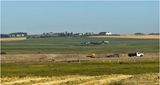 IMG_2906-Airdrie.jpg