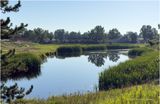IMG_2941-Airdrie.jpg