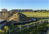 IMG_2891-Airdrie.jpg